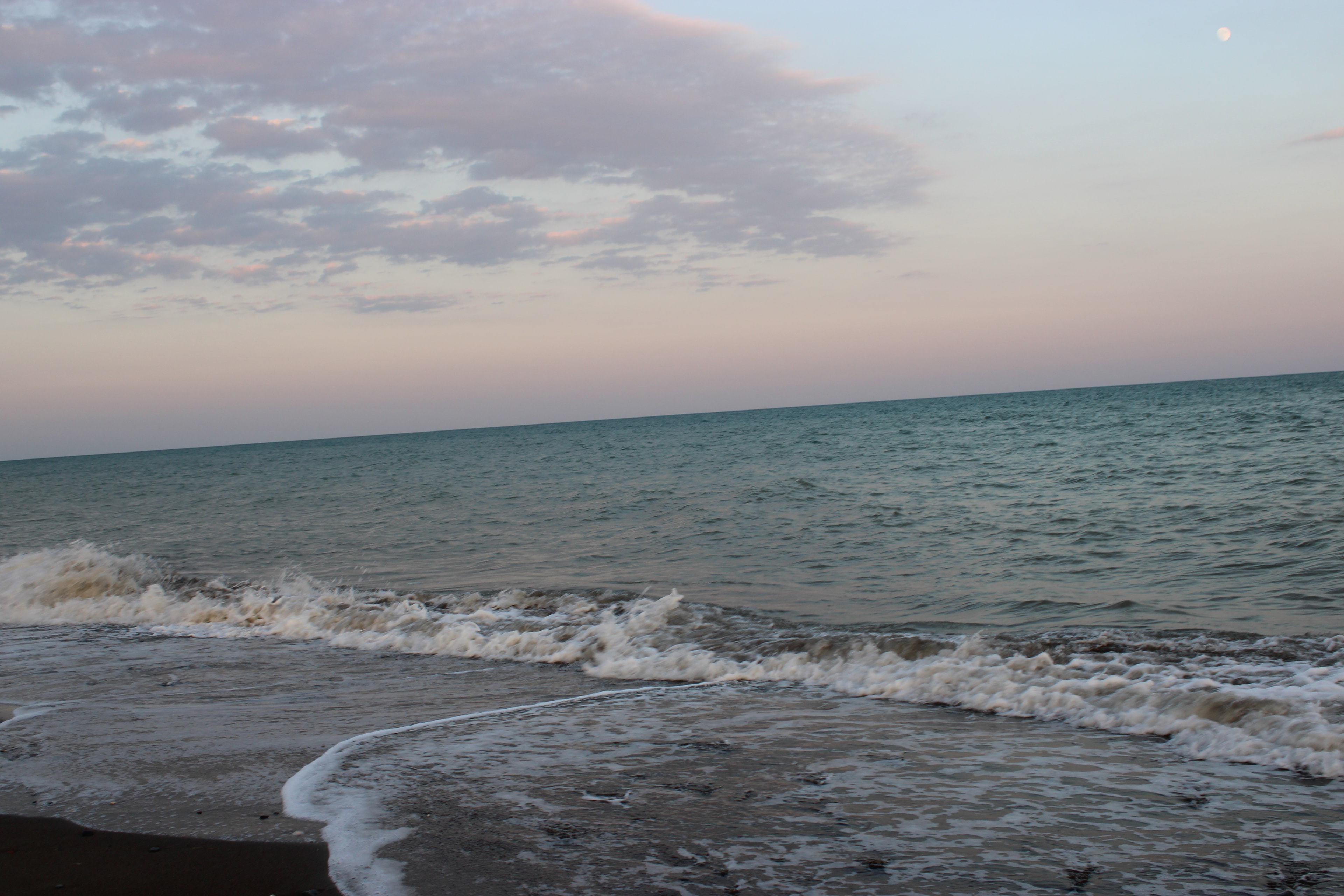 Quiet Tide
